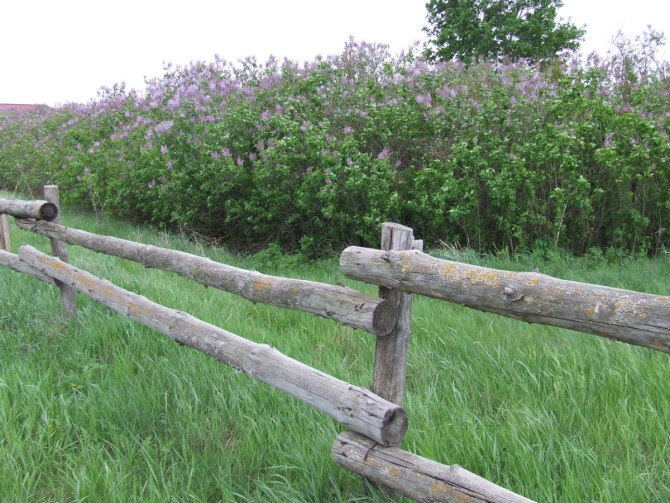 ЗАДОНЩИНА: ВОСПОМИНАНИЯ О БУДУЩЕМ, PREVIEW КРАСОТ NIKITA ADVENTURE RACE 2015 (Мультигонки, задонск, никита башмаков)