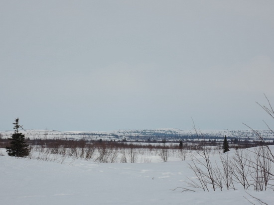 Второй кайт-поход от Мезени до Воркуты: как это было (Воздух, кайт-походы, Крайний Север, зимний кайтинг, Константин Епишин, Дмитрий Ботов, Мезень, Нарьян-Мар, воркута)