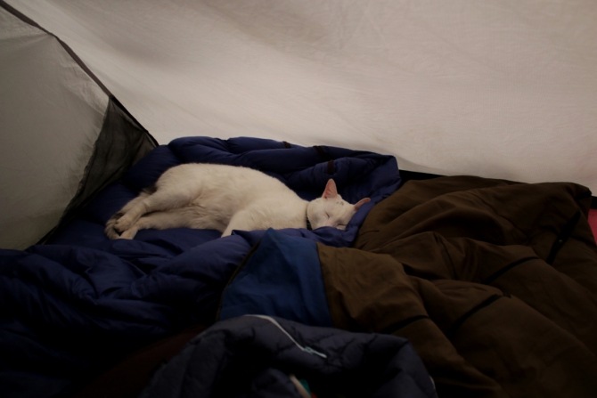 Red Fox Karelian Rocks. Подготовка боулдер-трасс (Скалолазание, скалолазание, боулдеринг, фестиваль, redfox, karelianrocks, карелианрокс, climbing, bouldering, redfoxkarelianrocks)