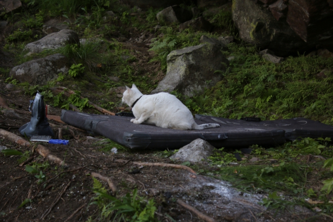 Red Fox Karelian Rocks. Подготовка боулдер-трасс (Скалолазание, скалолазание, боулдеринг, фестиваль, redfox, karelianrocks, карелианрокс, climbing, bouldering, redfoxkarelianrocks)