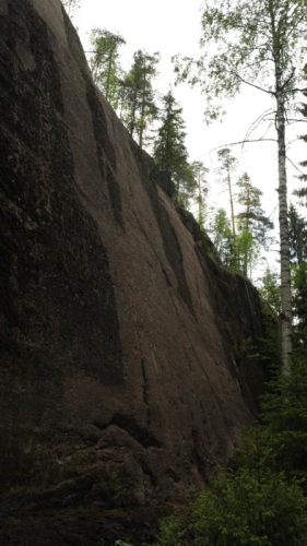 Альпинистский марафон 2015. Финальная стадия подготовки (Альпинизм, krukonogi.com, alpine marathon, цветок, krukonogi, альпмарафон, альпинизм, соревнования)
