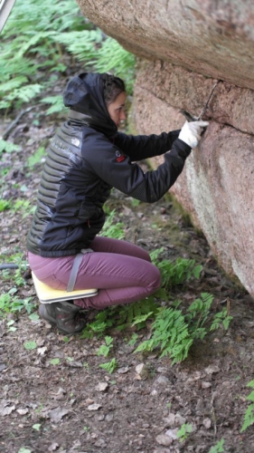 Альпинистский марафон 2015. Финальная стадия подготовки (Альпинизм, krukonogi.com, alpine marathon, цветок, krukonogi, альпмарафон, альпинизм, соревнования)