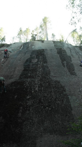 Альпинистский марафон 2015. Финальная стадия подготовки (Альпинизм, krukonogi.com, alpine marathon, цветок, krukonogi, альпмарафон, альпинизм, соревнования)