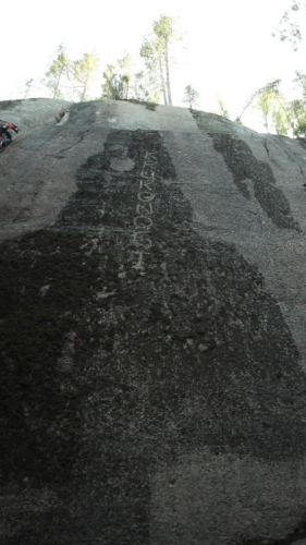 Альпинистский марафон 2015. Финальная стадия подготовки (Альпинизм, krukonogi.com, alpine marathon, цветок, krukonogi, альпмарафон, альпинизм, соревнования)