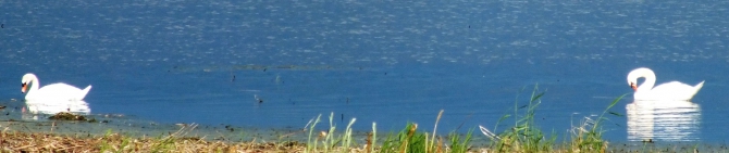 Скалы, г. Чека, Кизил. (Скалолазание)