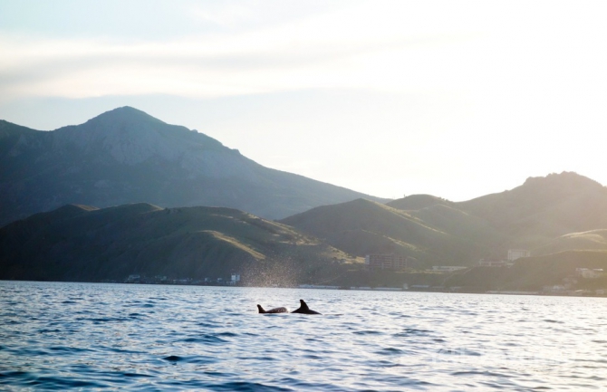 Неизведанное побережье Крыма: мыс Киик-Атлама и Карадаг (Вода, каяки, восточный крым, орджоникидзе, каякинг в Крыму, морские байдарки, каяки карадаг)