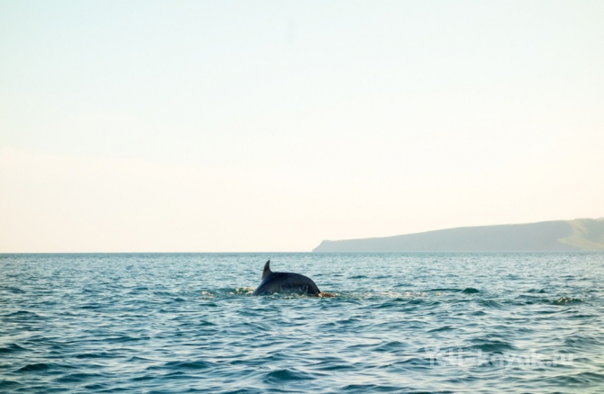 Неизведанное побережье Крыма: мыс Киик-Атлама и Карадаг (Вода, каяки, восточный крым, орджоникидзе, каякинг в Крыму, морские байдарки, каяки карадаг)