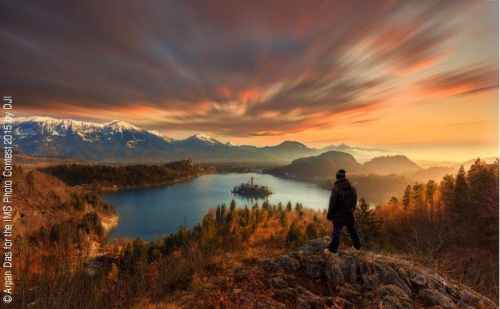 1533915_10152916353018779_8045211925304252275_n