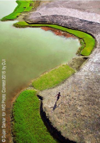 11163894_10152894699163779_8585731014600145611_n