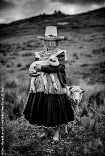 11219638_10152847401958779_5613748181739456032_n