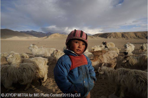 11393118_10152905218748779_5052826865819506341_n