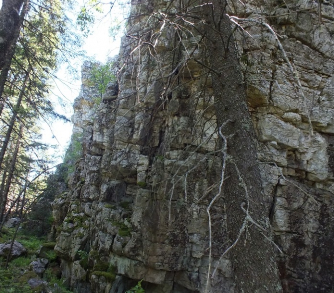 Скалы, г. Мал. Увал, хр. Бол. Сука. (Скалолазание)