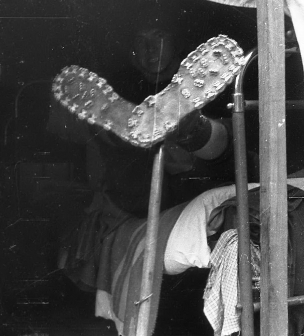 О взаимосвязи триконей с холерой в Одессе