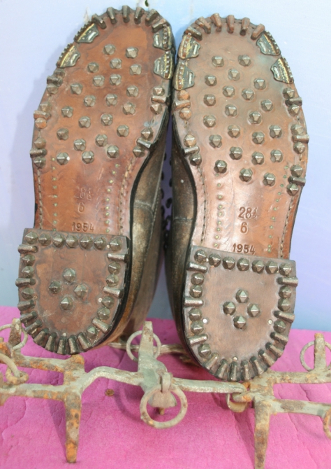 О взаимосвязи триконей с холерой в Одессе