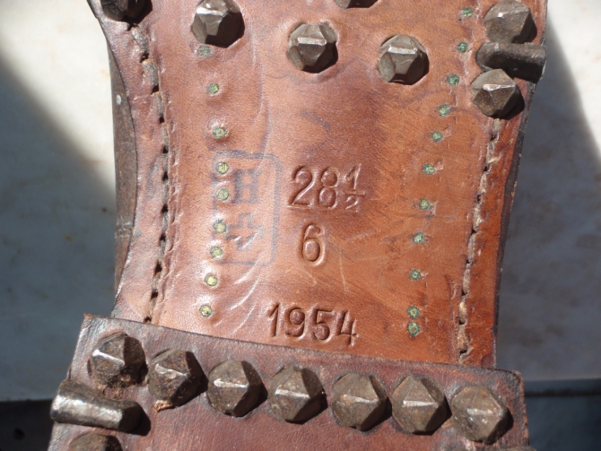 О взаимосвязи триконей с холерой в Одессе