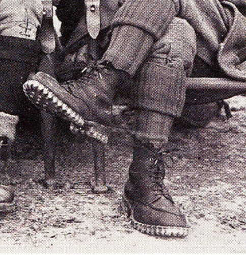 О взаимосвязи триконей с холерой в Одессе