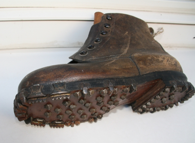 О взаимосвязи триконей с холерой в Одессе