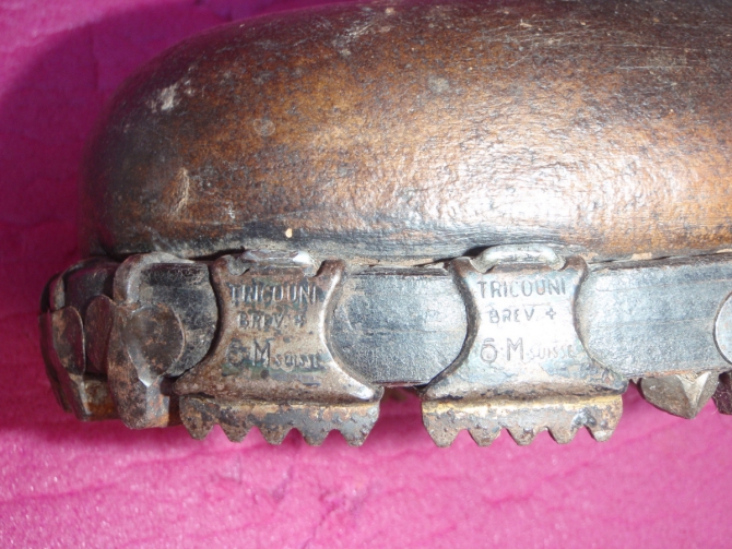 О взаимосвязи триконей с холерой в Одессе