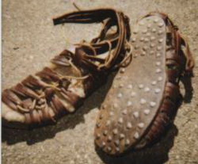 О взаимосвязи триконей с холерой в Одессе