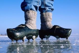 О взаимосвязи триконей с холерой в Одессе