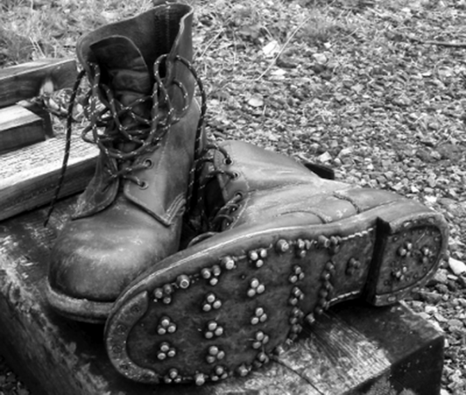 О взаимосвязи триконей с холерой в Одессе