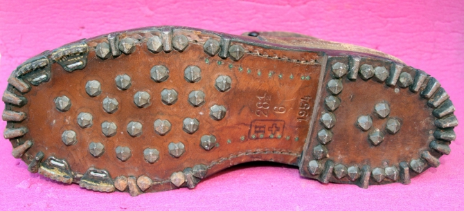 О взаимосвязи триконей с холерой в Одессе