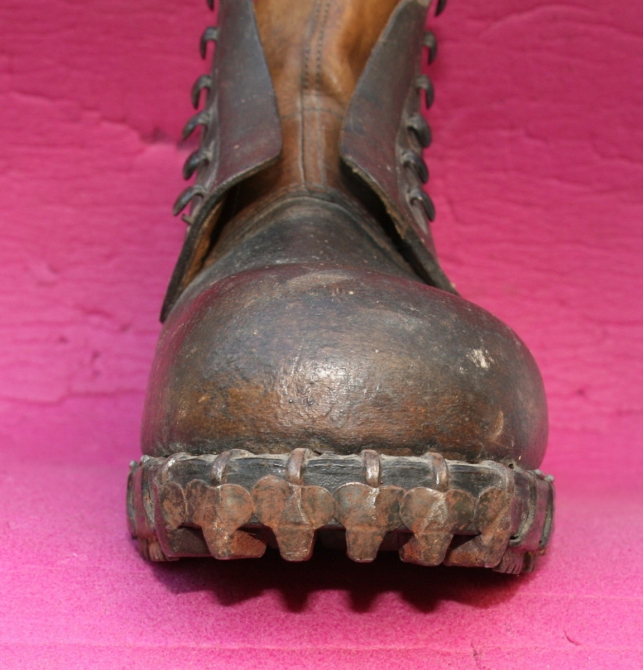 О взаимосвязи триконей с холерой в Одессе