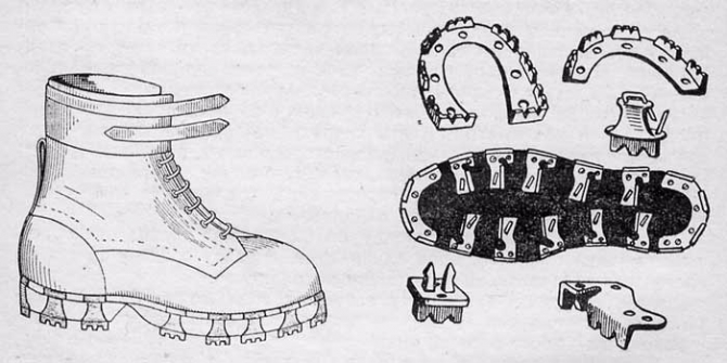 О взаимосвязи триконей с холерой в Одессе