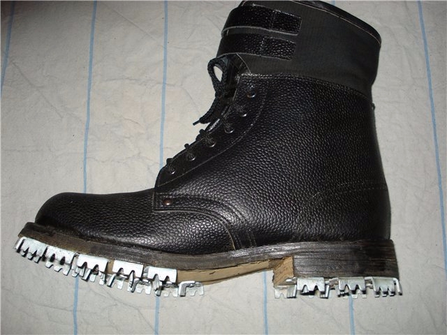 О взаимосвязи триконей с холерой в Одессе