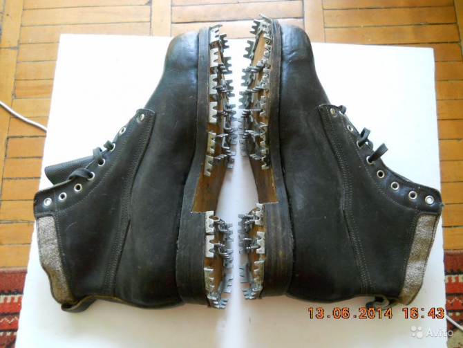 О взаимосвязи триконей с холерой в Одессе