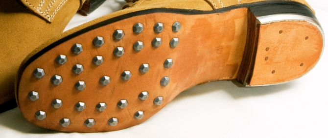 О взаимосвязи триконей с холерой в Одессе