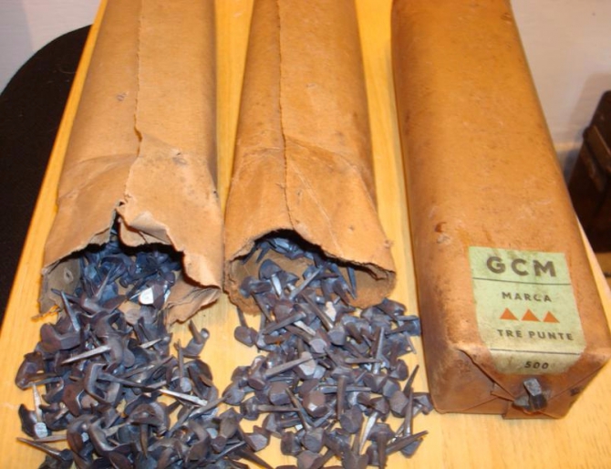 О взаимосвязи триконей с холерой в Одессе