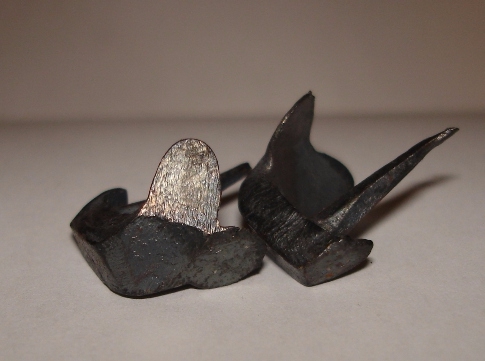 О взаимосвязи триконей с холерой в Одессе