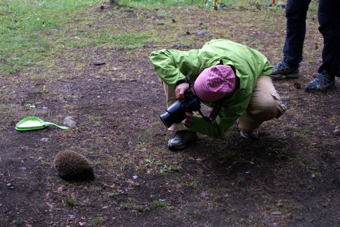 Приют EG5300, начало (Альпинизм, кавказ, лагерь, вершина, горы, альпинизм)