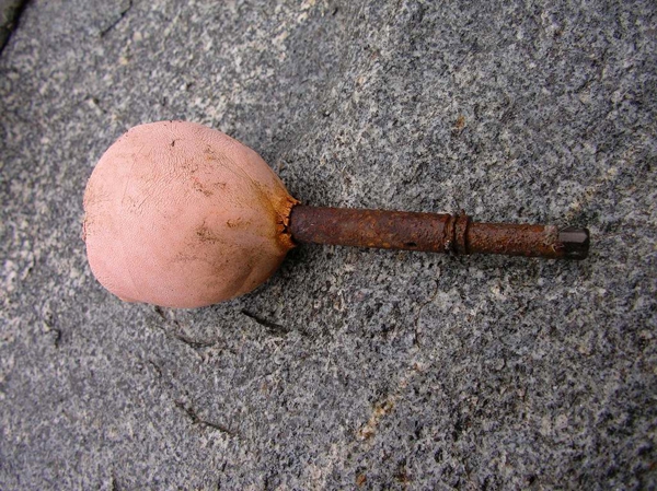 Ушбинская находка (Альпинизм, ушба, сванетия, поиски)