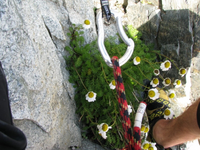 Цей. Хицан. Авантюра. (Альпинизм)