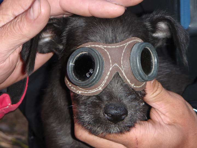 На пик А. Блока соло по новому пути. (Альпинизм, азия, максименя, первопроход)