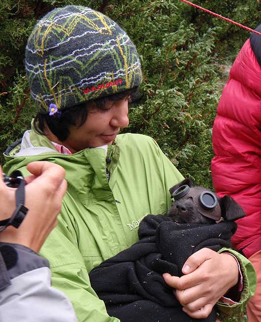 На пик А. Блока соло по новому пути. (Альпинизм, азия, максименя, первопроход)
