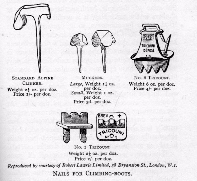 О взаимосвязи триконей с холерой в Одессе