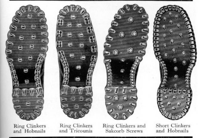 О взаимосвязи триконей с холерой в Одессе