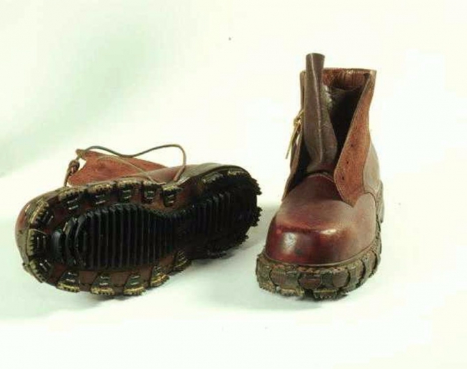 О взаимосвязи триконей с холерой в Одессе