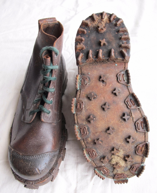 О взаимосвязи триконей с холерой в Одессе