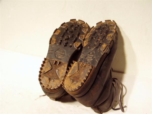 О взаимосвязи триконей с холерой в Одессе