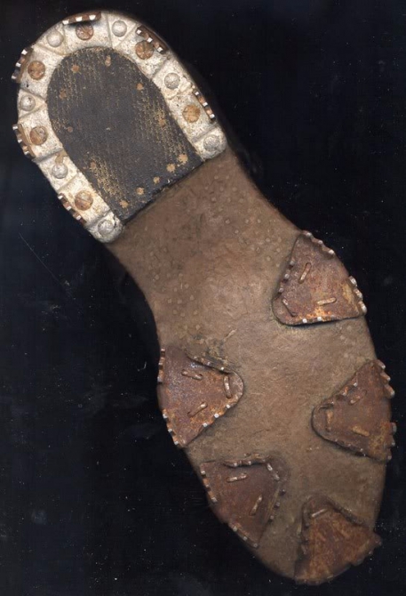 О взаимосвязи триконей с холерой в Одессе