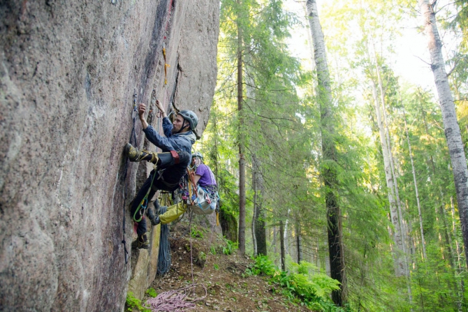 В сказочном лесу Альпмарафона-2015 (Альпинизм, krukonogi, соревнования, ито, связки, массив цветок)