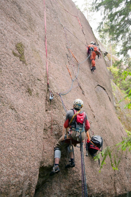 В сказочном лесу Альпмарафона-2015 (Альпинизм, krukonogi, соревнования, ито, связки, массив цветок)