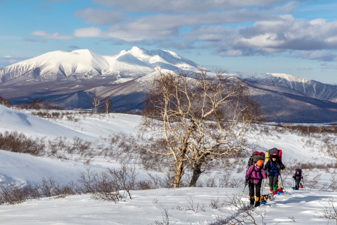 Через Камчатку на лыжах. Фотоальбом. (Туризм, камчатка, лыжный туризм, ключевская сопка, Кроноцкое озеро, Налычево, вулканы)