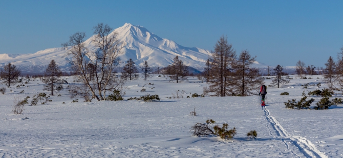 Через Камчатку на лыжах. Фотоальбом. (Туризм, камчатка, лыжный туризм, ключевская сопка, Кроноцкое озеро, Налычево, вулканы)