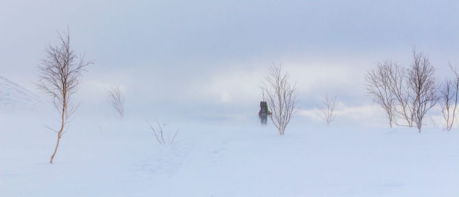Через Камчатку на лыжах. Фотоальбом. (Туризм, камчатка, лыжный туризм, ключевская сопка, Кроноцкое озеро, Налычево, вулканы)