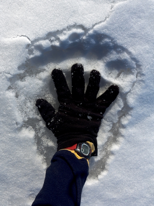 Через Камчатку на лыжах. Фотоальбом. (Туризм, камчатка, лыжный туризм, ключевская сопка, Кроноцкое озеро, Налычево, вулканы)